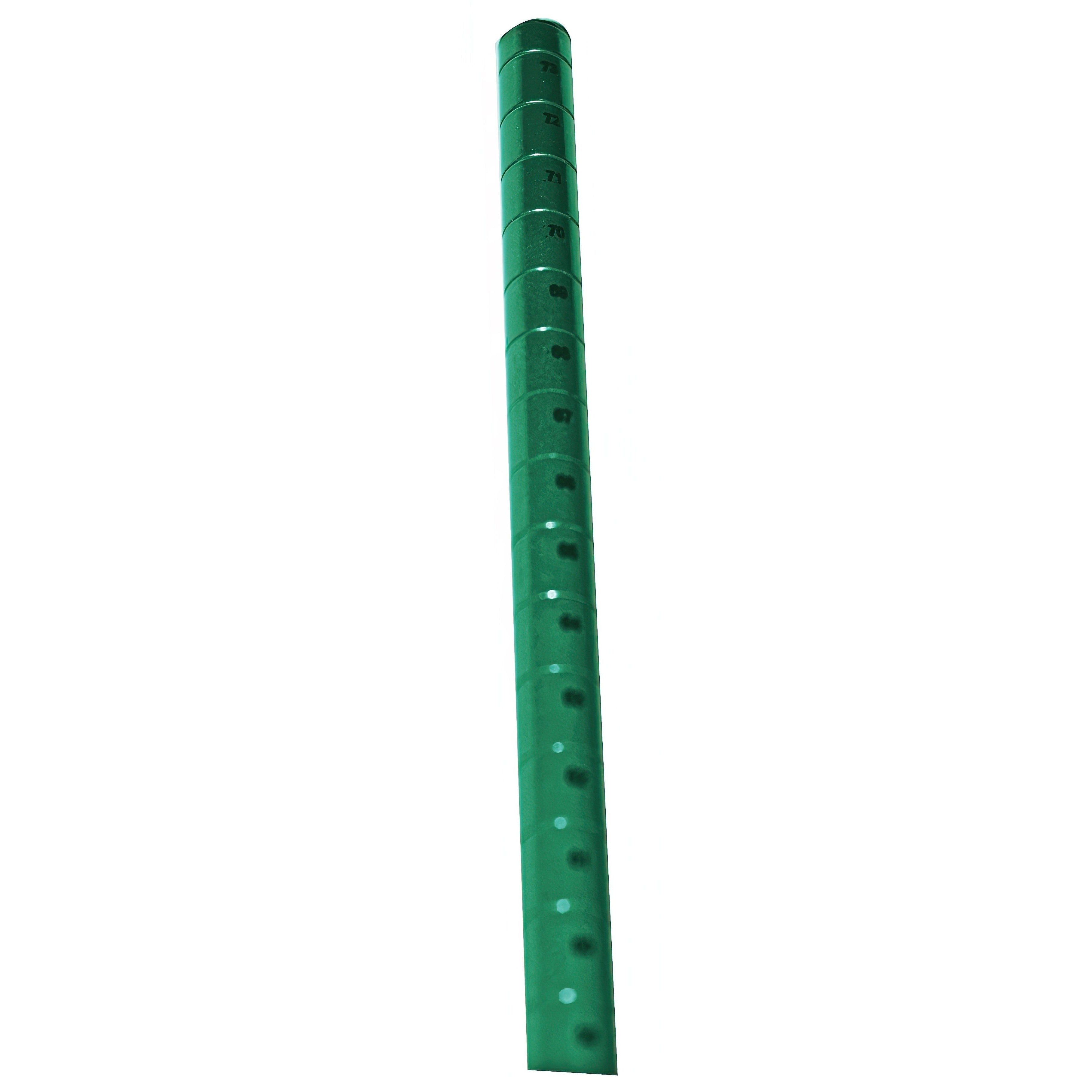 Wire Shelving - 54 Green Epoxy Post